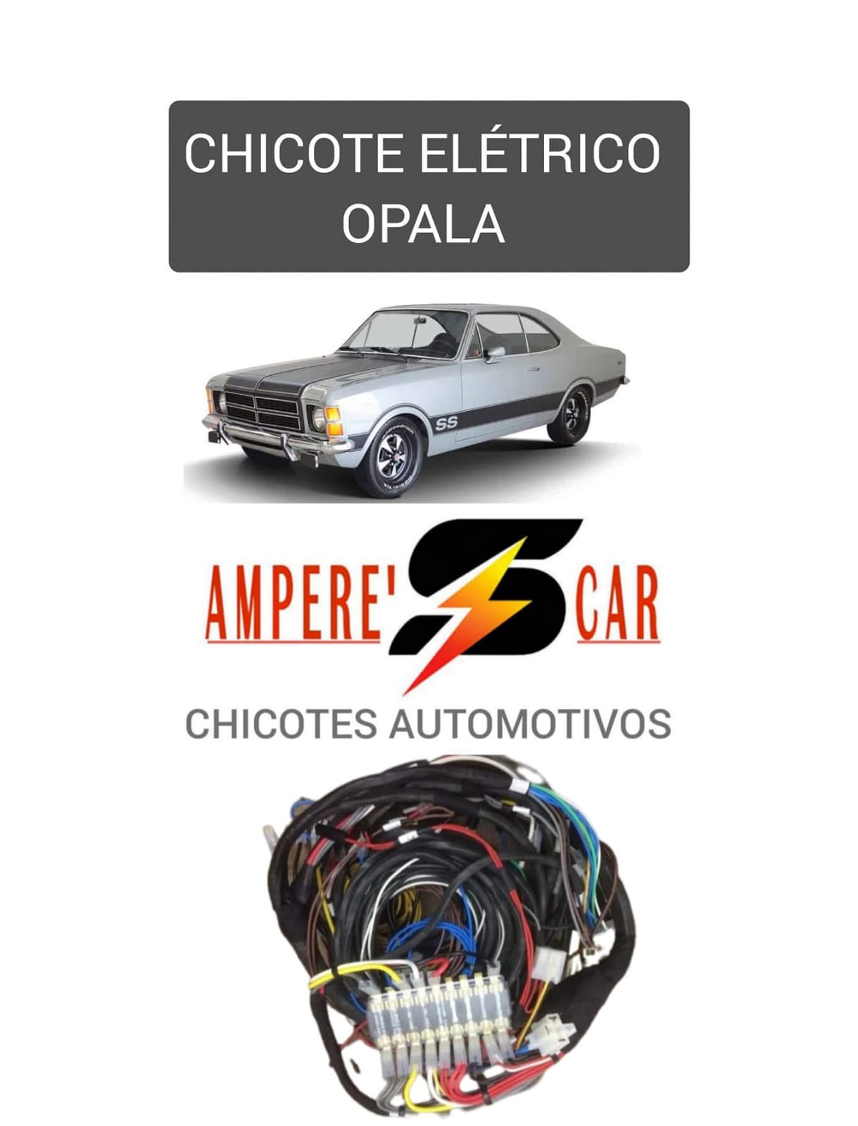 WhatsApp Image 2025-11-24 at 10.44.18 (3).jpeg